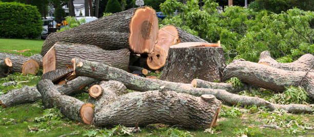 Best Hazardous Tree Removal  in French Mp, CA